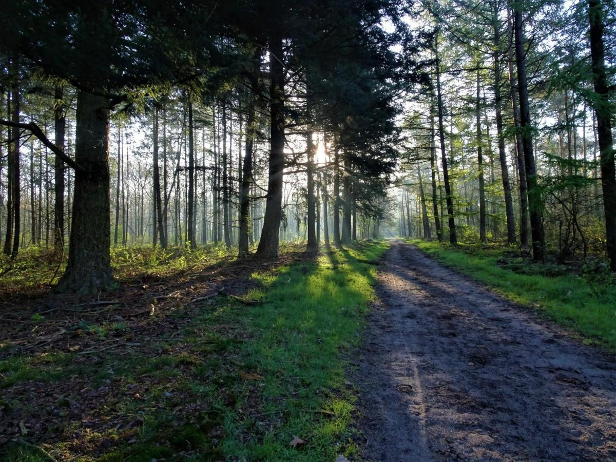Veluwe Park Reewold Chalet Eclipse 푸텐 외부 사진